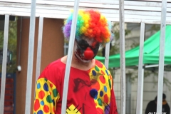 15-IMG_4146