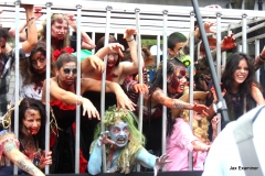 37-IMG_4101