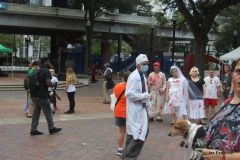 49-IMG_4119