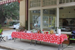 17-IMG_8982