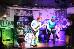 pizza fest sunday 113