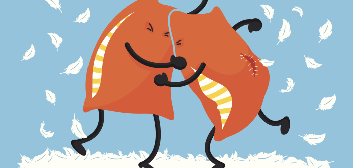 IPFD Pillow Battle 2013 presented by Jactivites  Jax Examiner