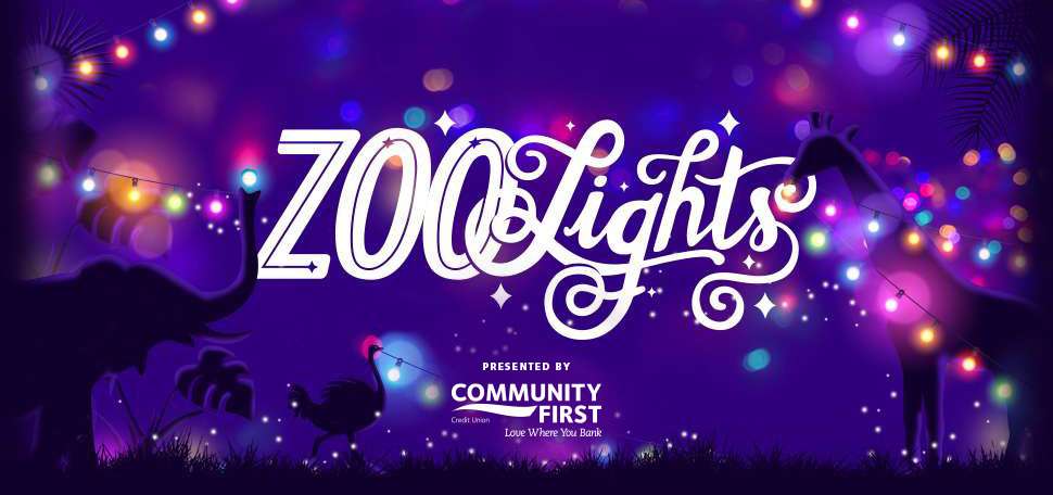 jacksonville zoo and gardens lights