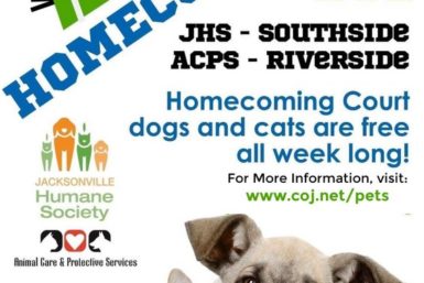 Free Feline Adoption Event - Southside PetSmart - Jacksonville Humane  Society