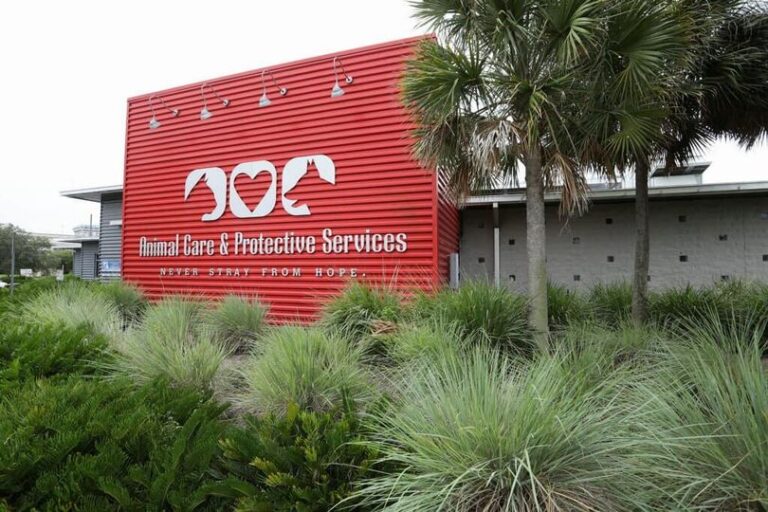 Animal Care and Protective Services now requires an appointment Jax Examiner