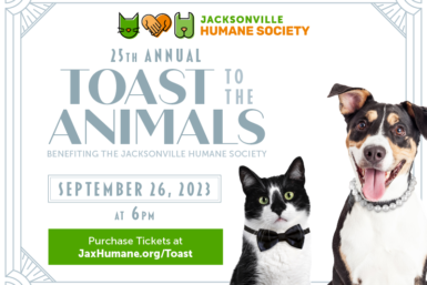 PetSmart FREE Adoption Event - Multiple Locations - Jacksonville Humane  Society