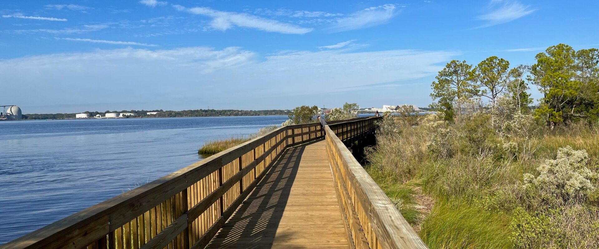 Blue Cypress Park shoreline boardwalk repair is complete | Jax Examiner